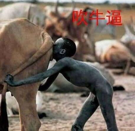 那些活动开始就吹牛不打草稿的斗鱼“土豪”